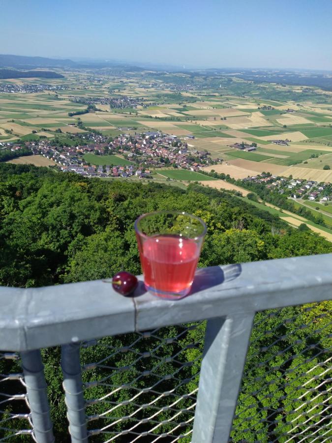 Apartament Blick Ins Wutachtal Wutoschingen Zewnętrze zdjęcie