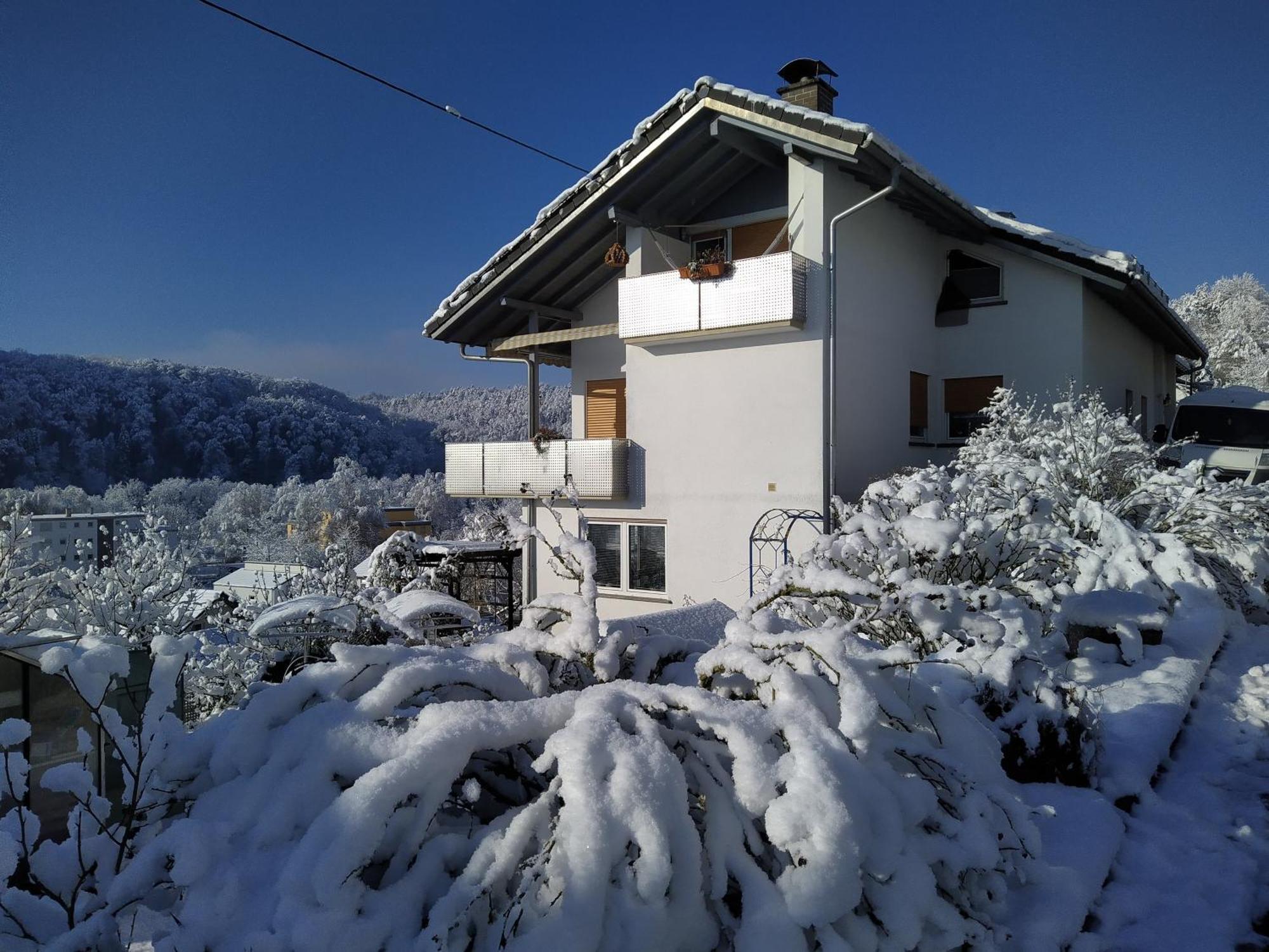 Apartament Blick Ins Wutachtal Wutoschingen Zewnętrze zdjęcie
