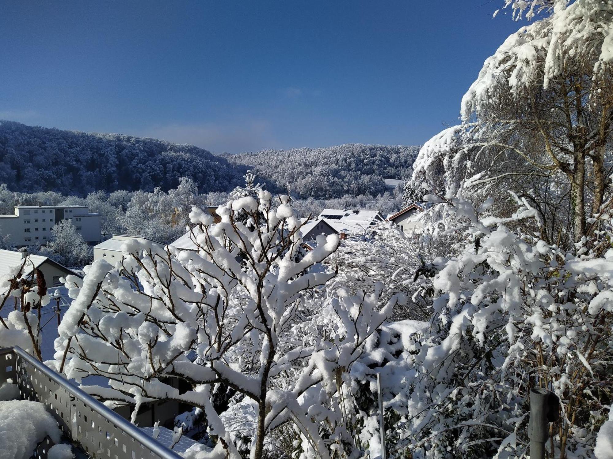 Apartament Blick Ins Wutachtal Wutoschingen Zewnętrze zdjęcie